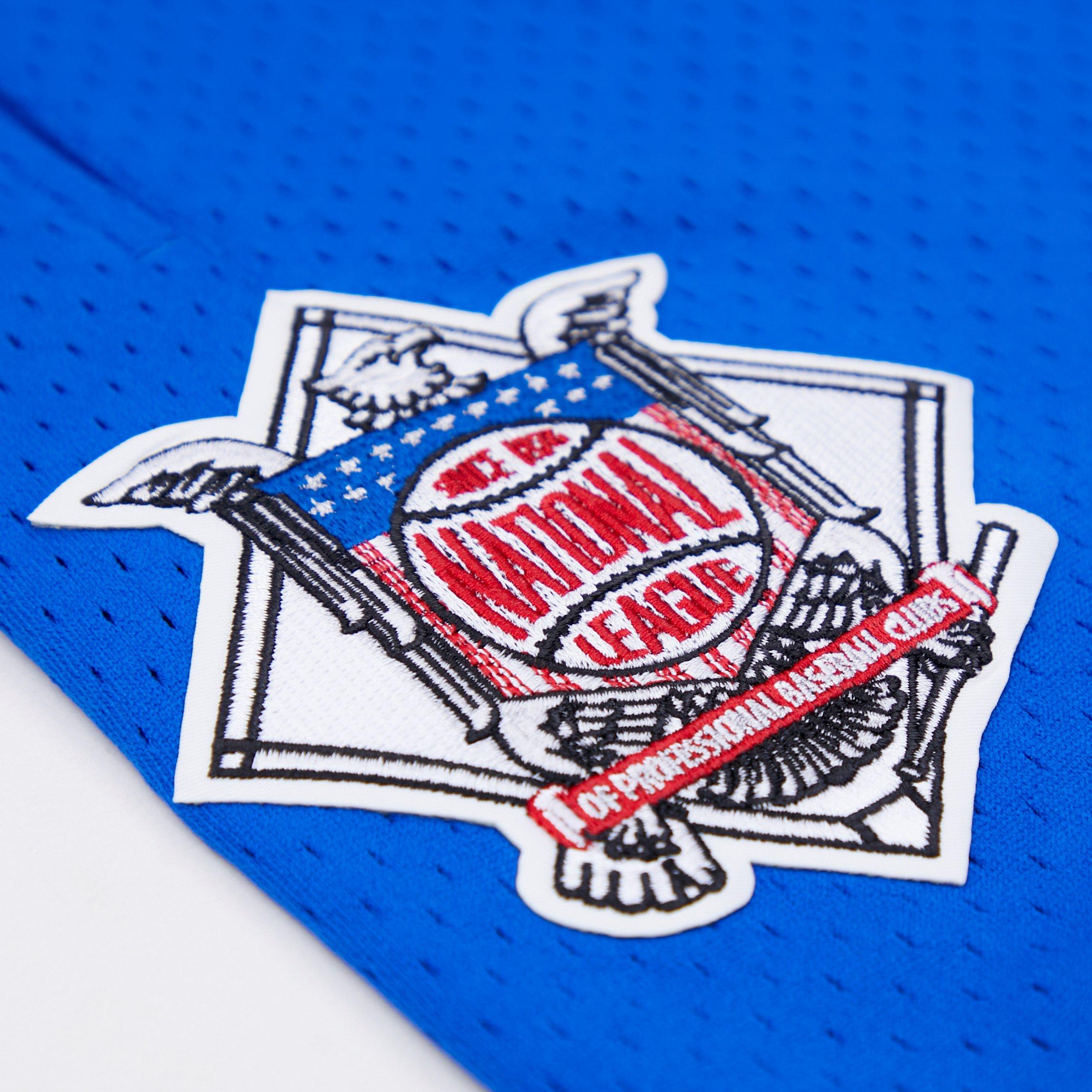 Pro Standard Men's MLB Chicago Cubs Logo Mesh Short - Royal - ROYAL