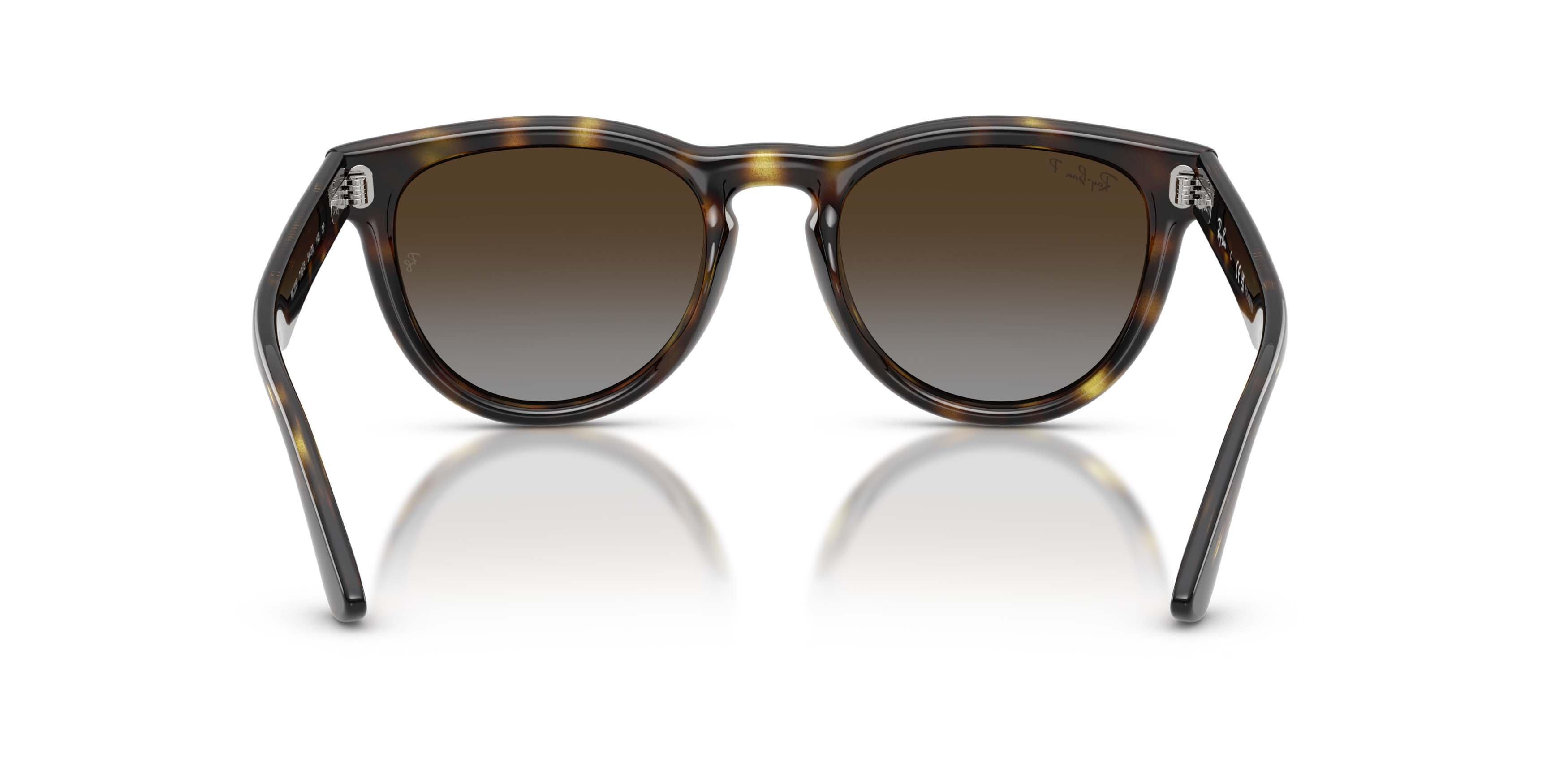 Ray-Ban RB2237 Light Grey Gradient Brown Polarized Sunglasses - Havana - BROWN/GREY