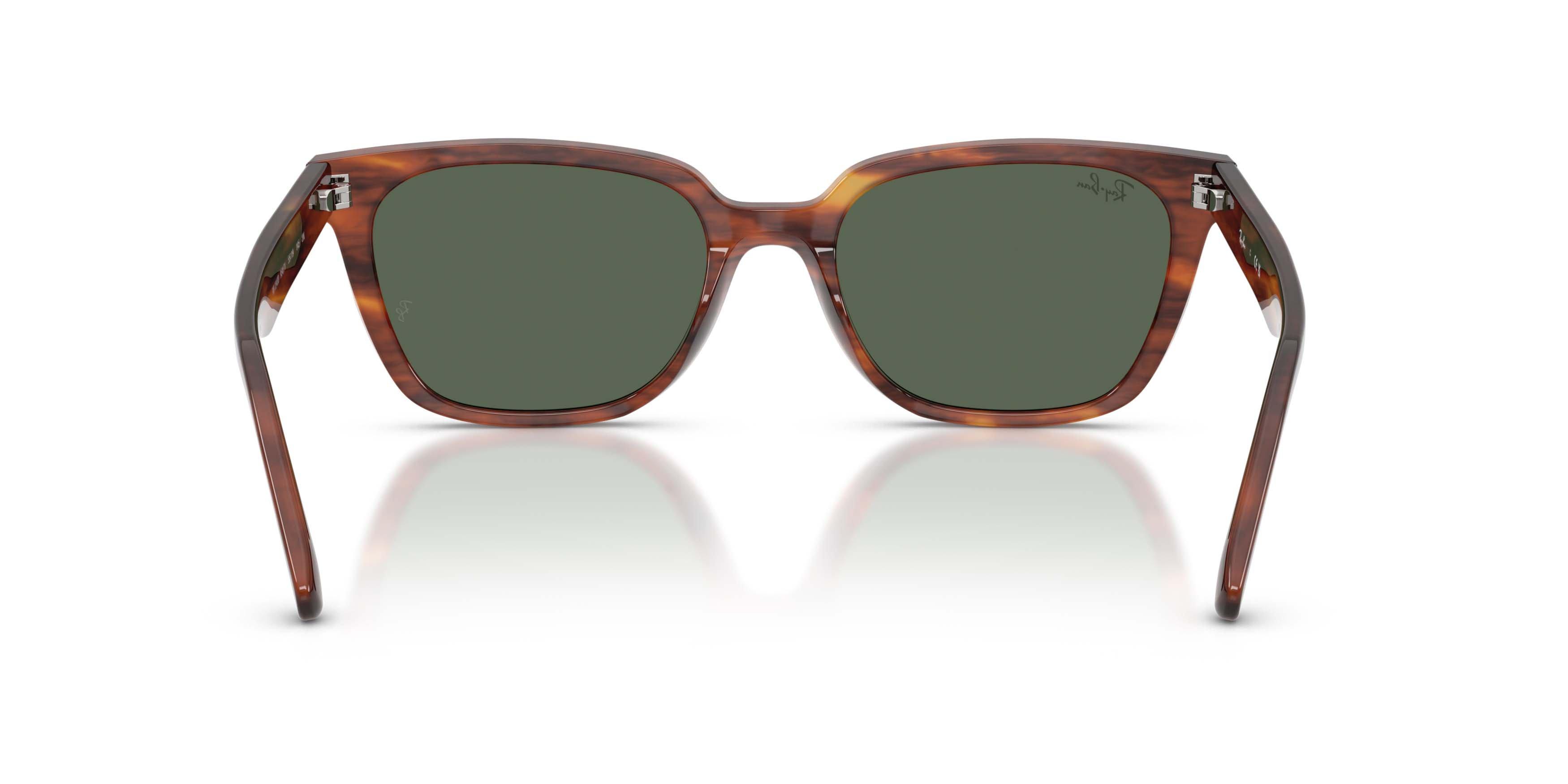 Ray-Ban RB2243D Dark Green Sunglasses - Havana Striped - BROWN/GREEN