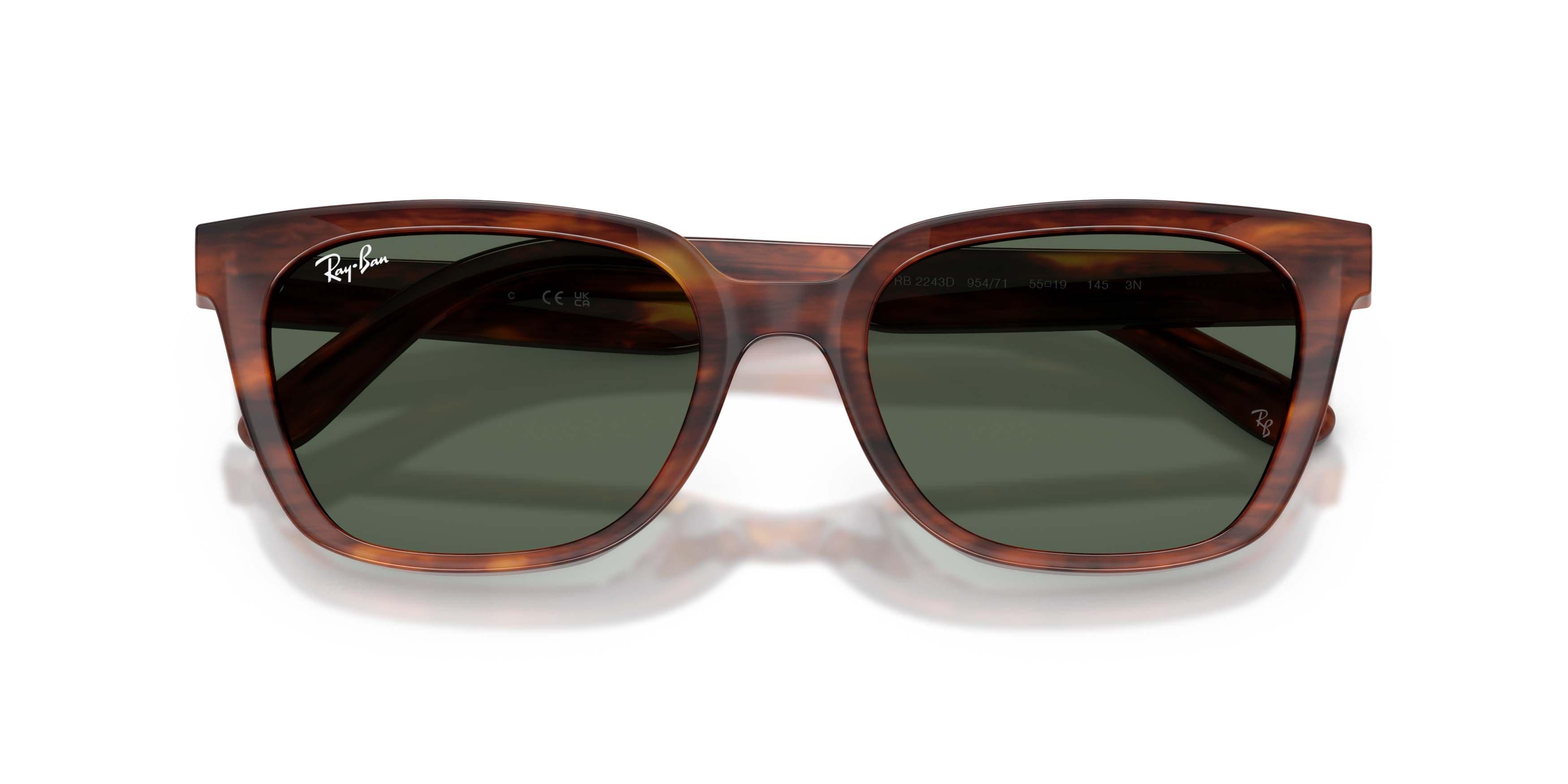 Ray-Ban RB2243D Dark Green Sunglasses - Havana Striped - BROWN/GREEN