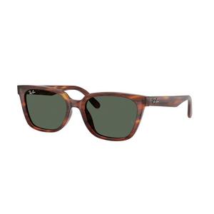 Ray-Ban RB2243D Dark Green Sunglasses - Havana Striped - BROWN/GREEN