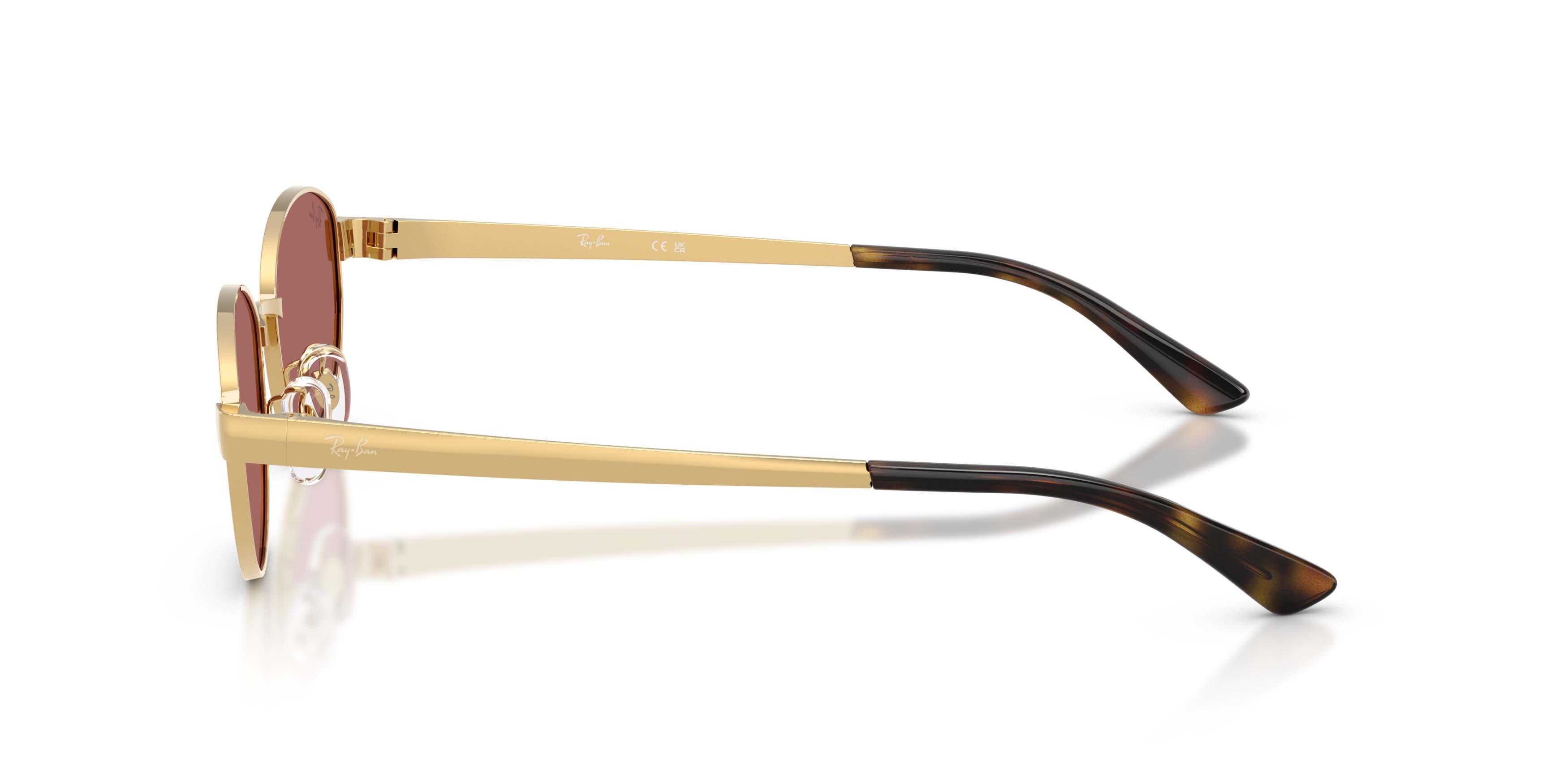 Ray-Ban RB3774D Dark Violet Sunglasses - Arista Gold - GOLD/VIOLET