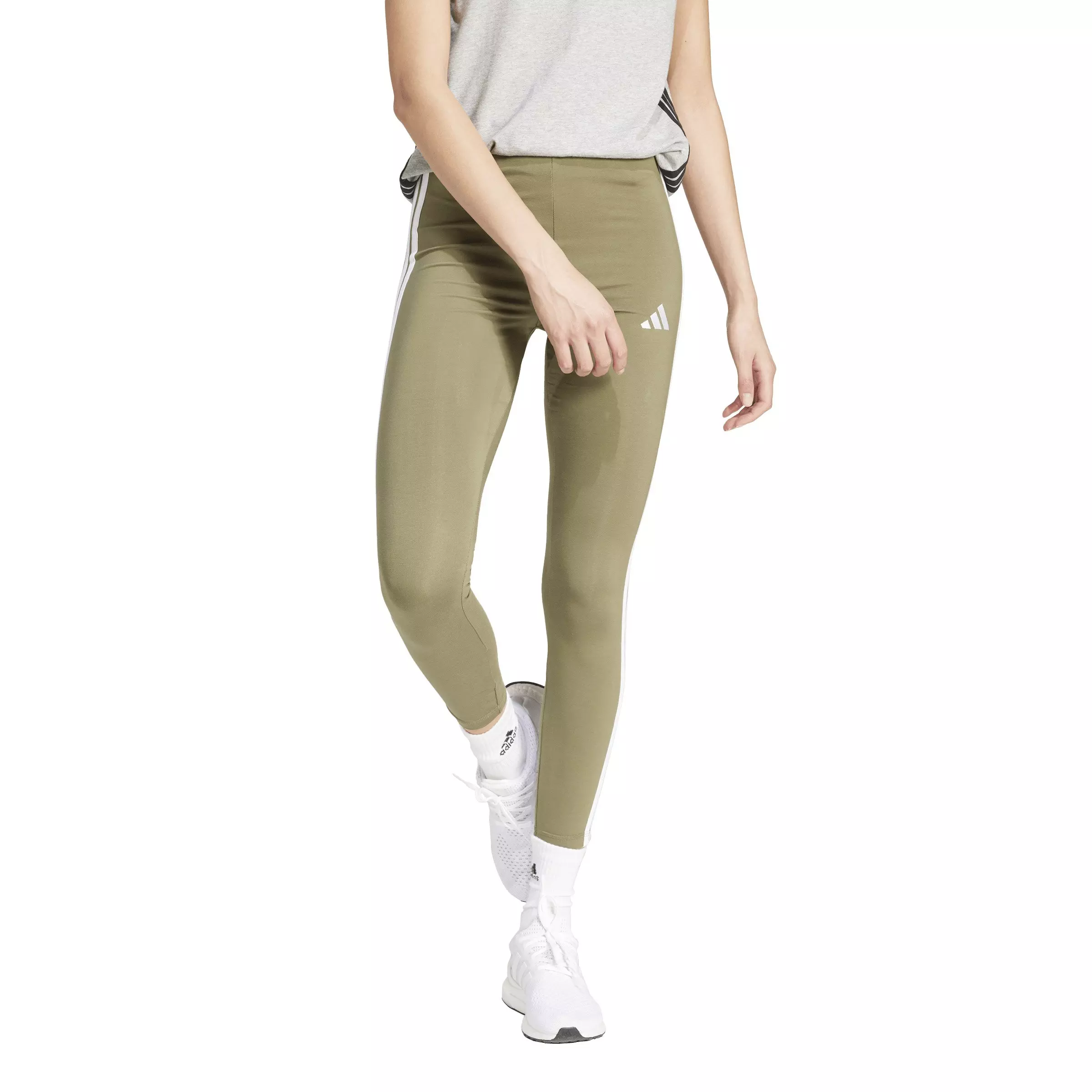 adidas Women's Essentials 3-Stripes Cotton Leggings - Green/White - GREEN/WHITE