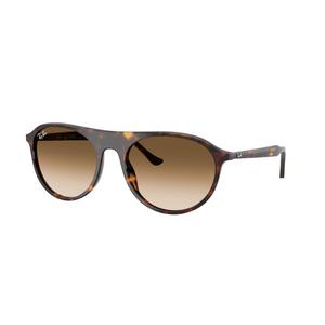 Ray-Ban RB2215 Brown Gradient Sunglasses - Yellow Turtle