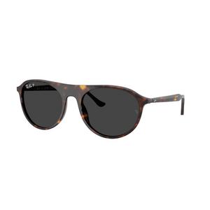 Ray-Ban RB2215 Grey Sunglasses - Tortoise