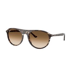Ray-Ban RB2215 Brown Gradient Sunglasses - Tortoise