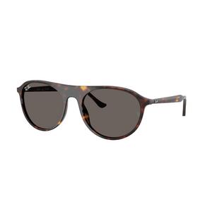 Ray-Ban RB2215 Brown Sunglasses - Tortoise