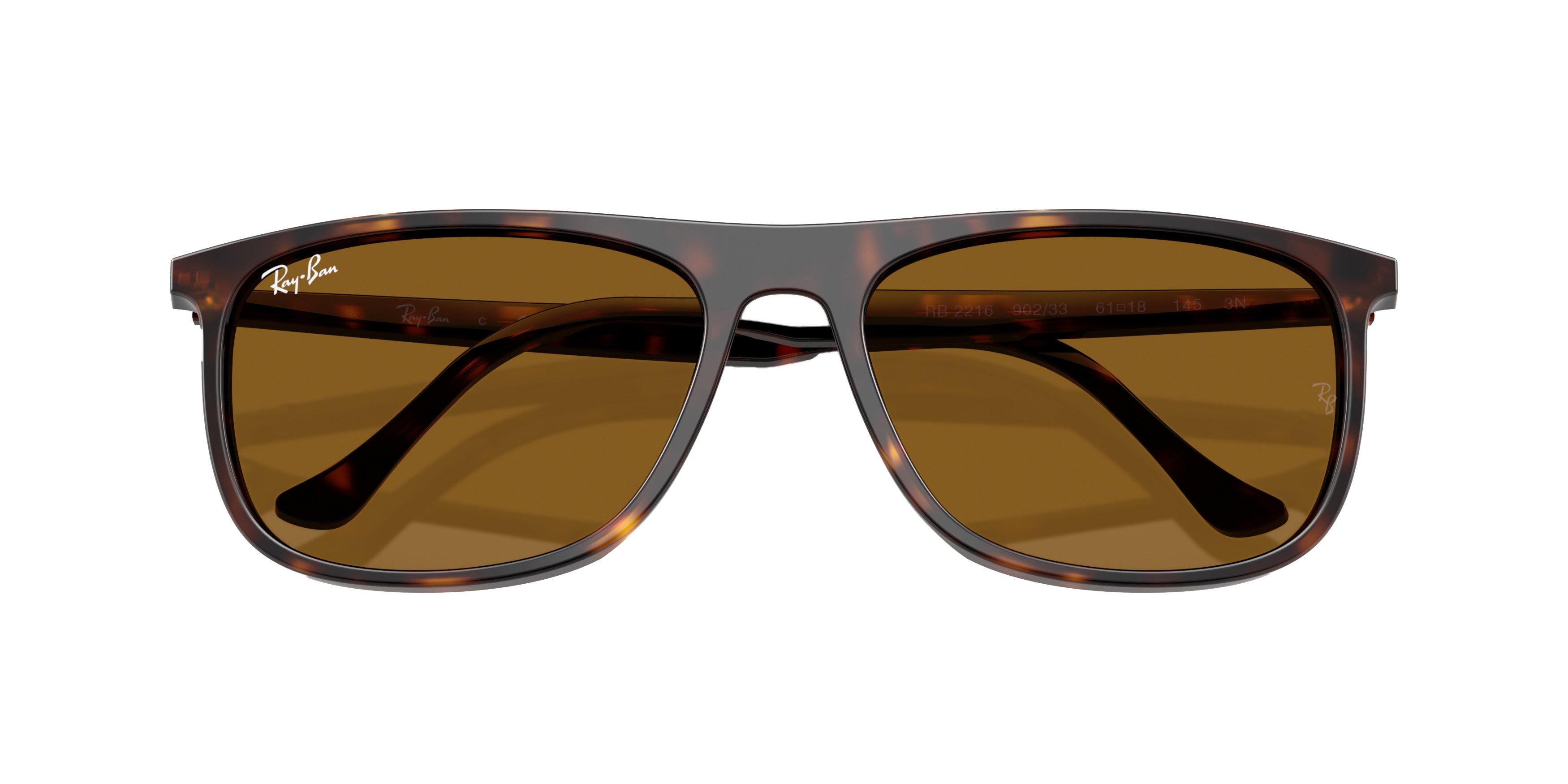 Ray-Ban RB2216 Brown Polarized Sunglasses - Havana - BROWN Thumbnail View 5