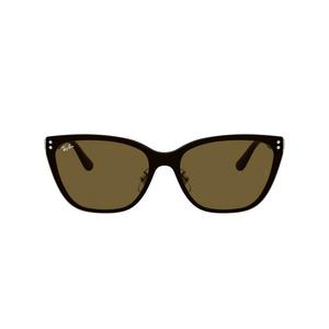 Ray-Ban RB3798D Dark Brown Sunglasses - Silver - SILVER/BROWN