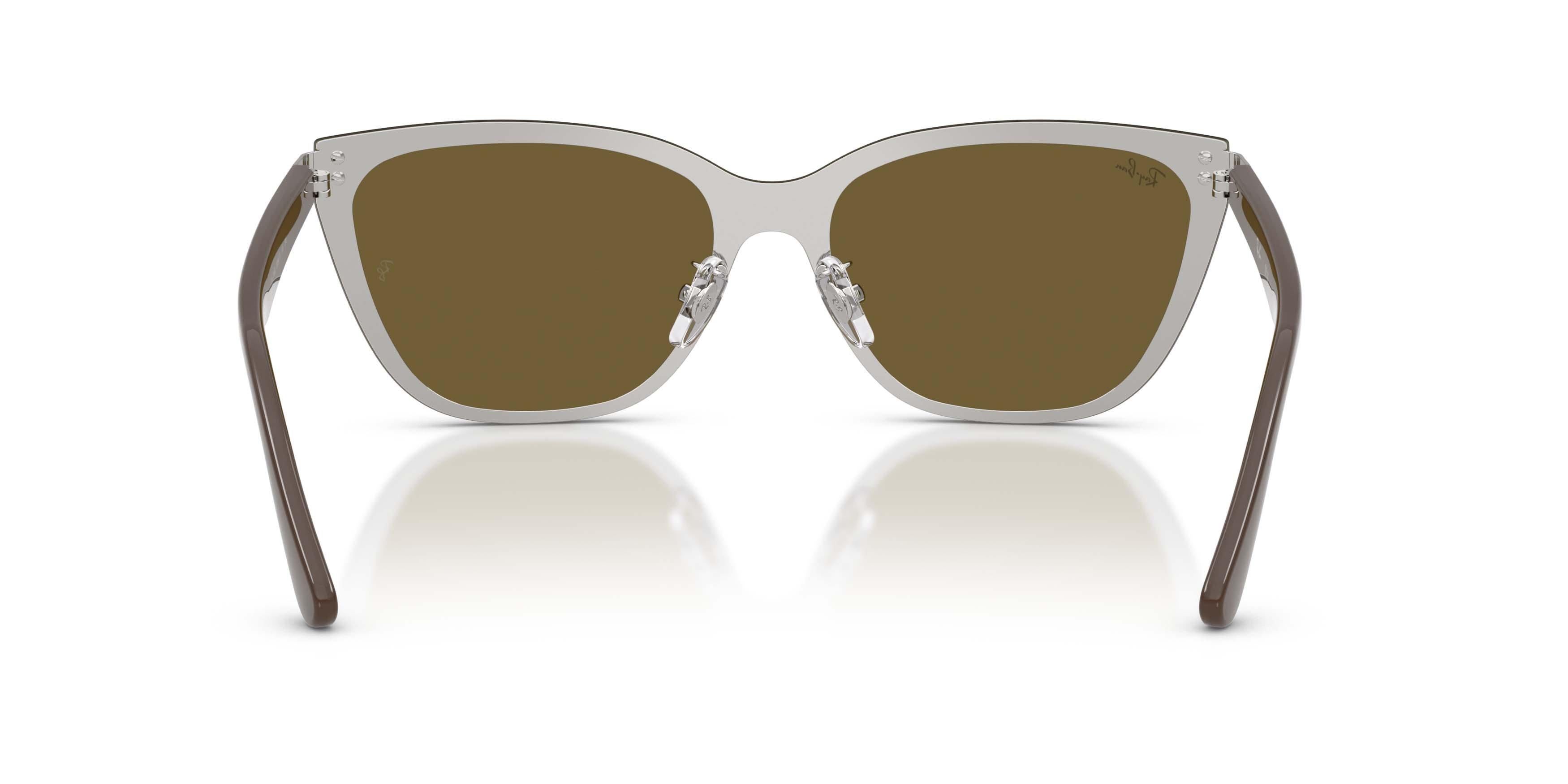 Ray-Ban RB3798D Dark Brown Sunglasses - Silver - SILVER/BROWN