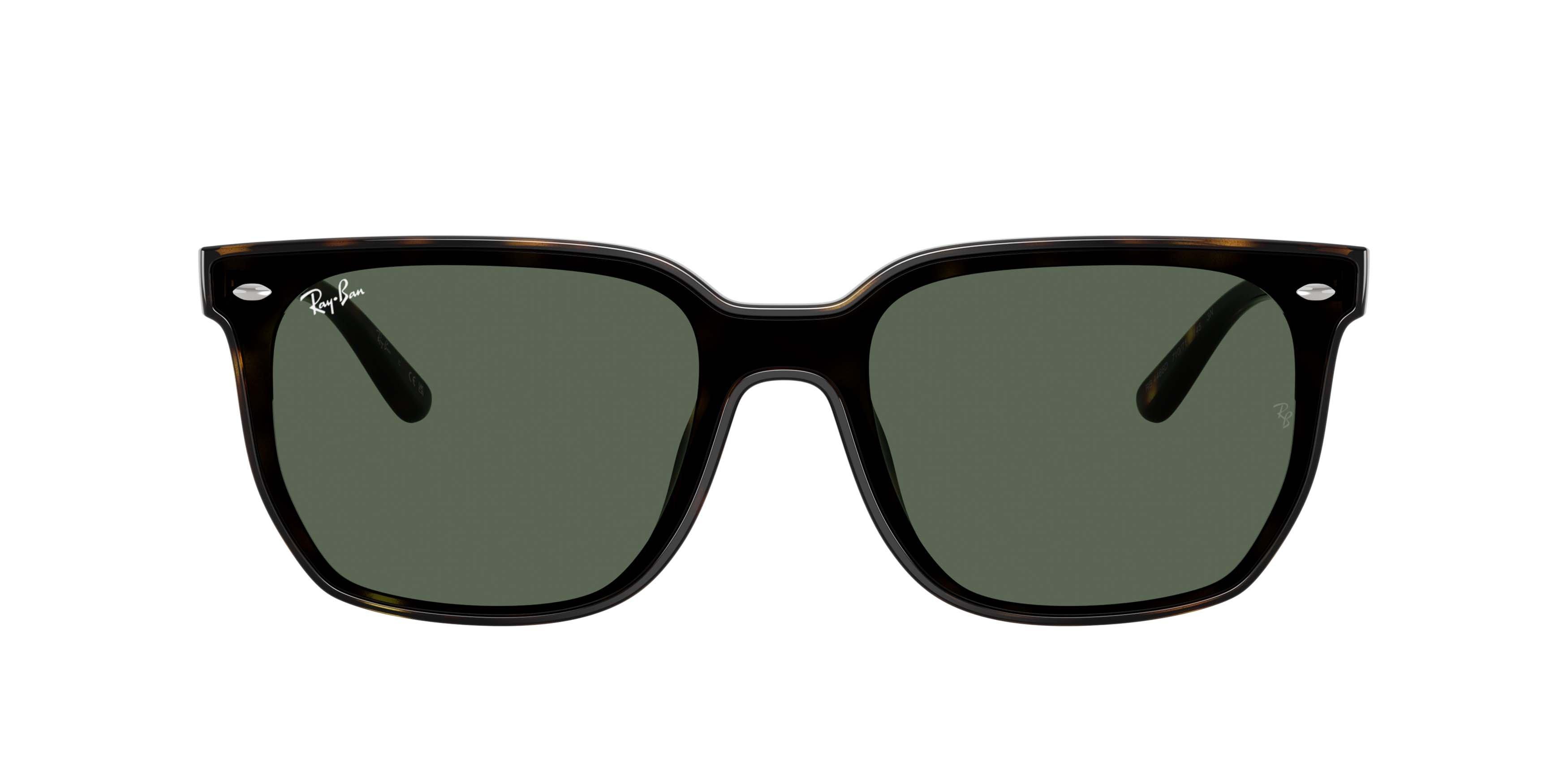 Ray-Ban 0RB4466D Dark Green Sunglasses - Havana - BROWN/GREEN