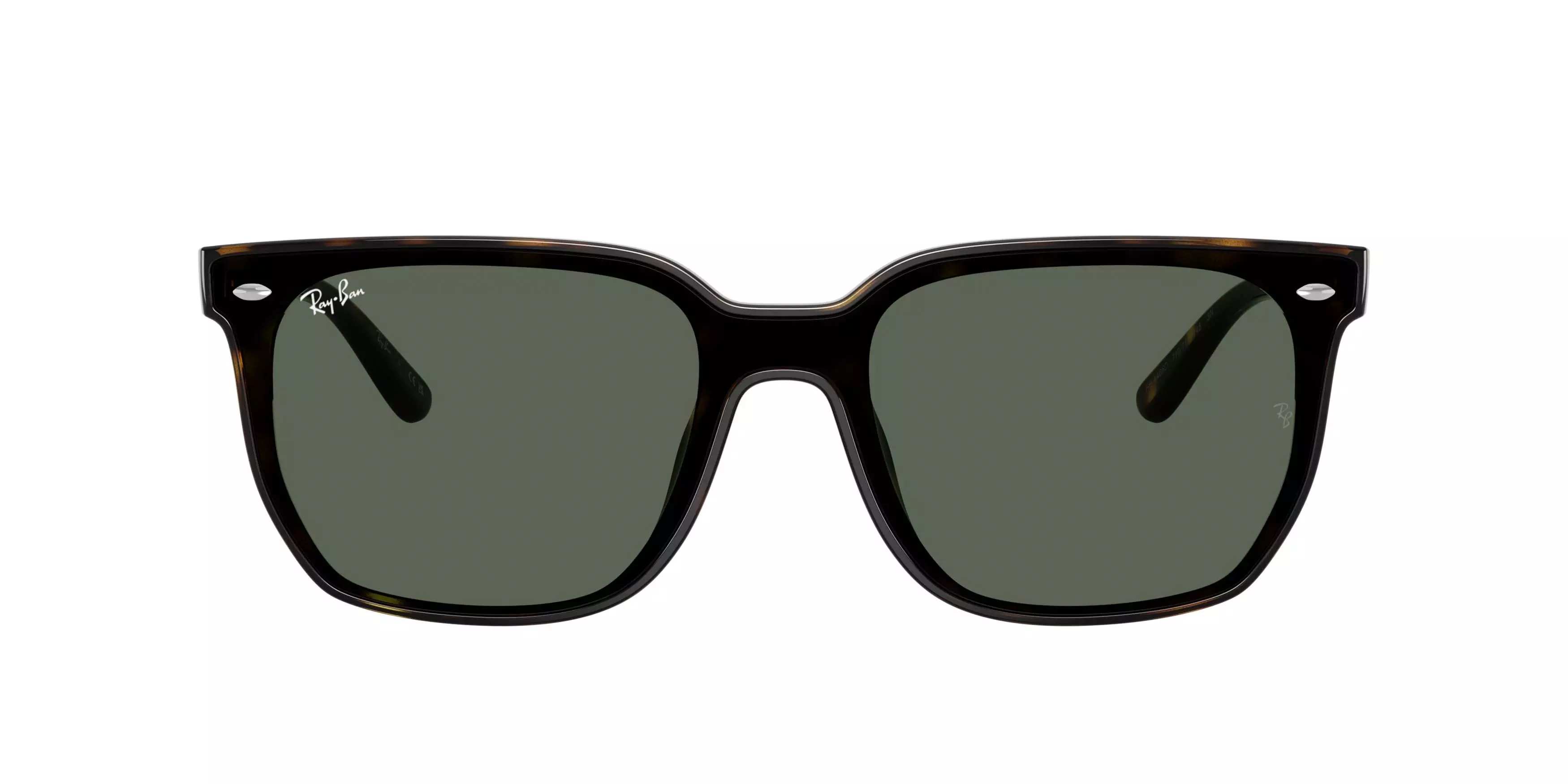 Ray-Ban 0RB4466D Dark Green Sunglasses - Havana - BROWN/GREEN