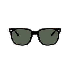Ray-Ban 0RB4466D Dark Green Sunglasses - Havana - BROWN/GREEN