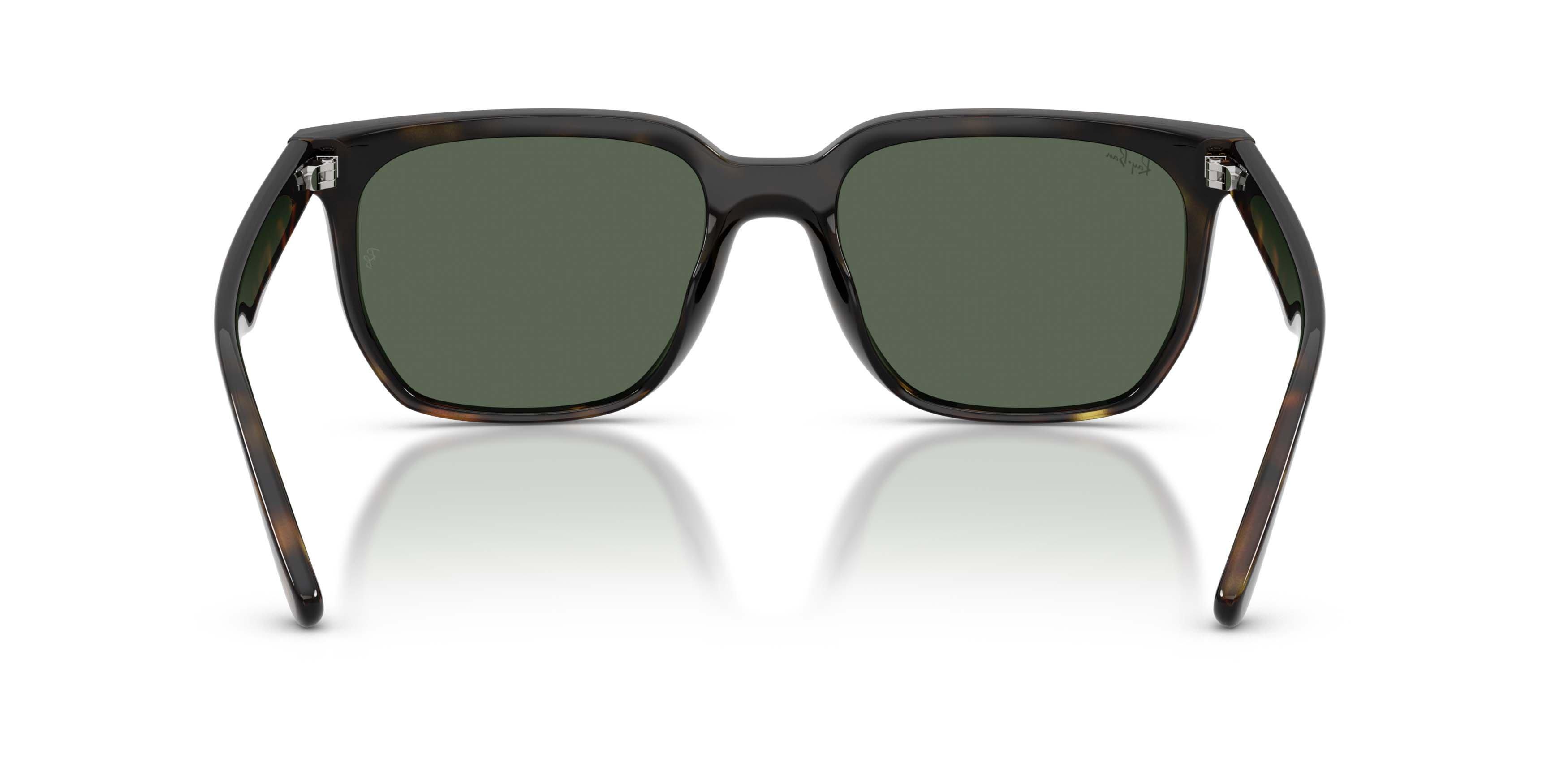Ray-Ban 0RB4466D Dark Green Sunglasses - Havana - BROWN/GREEN