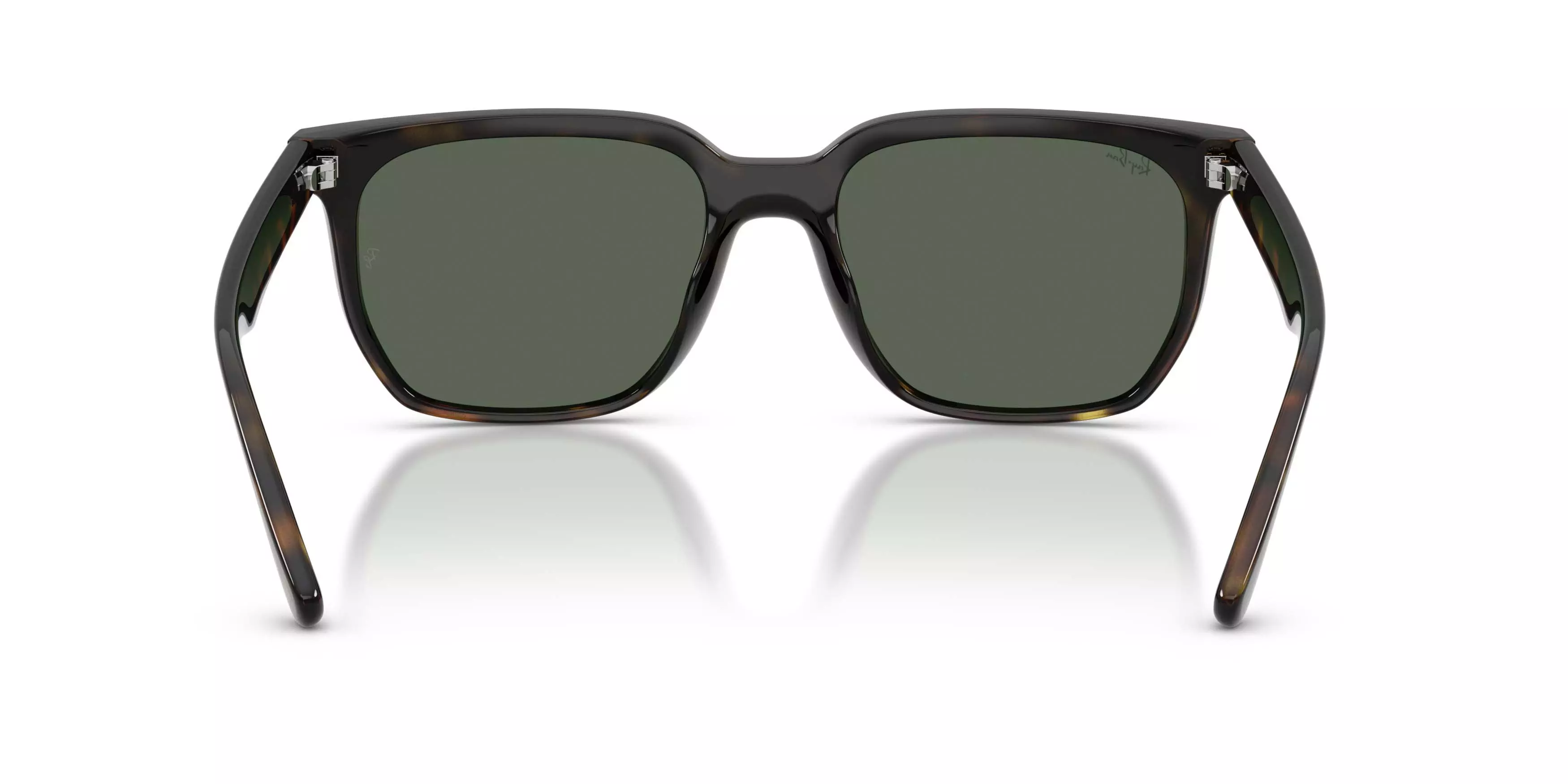 Ray-Ban 0RB4466D Dark Green Sunglasses - Havana - BROWN/GREEN