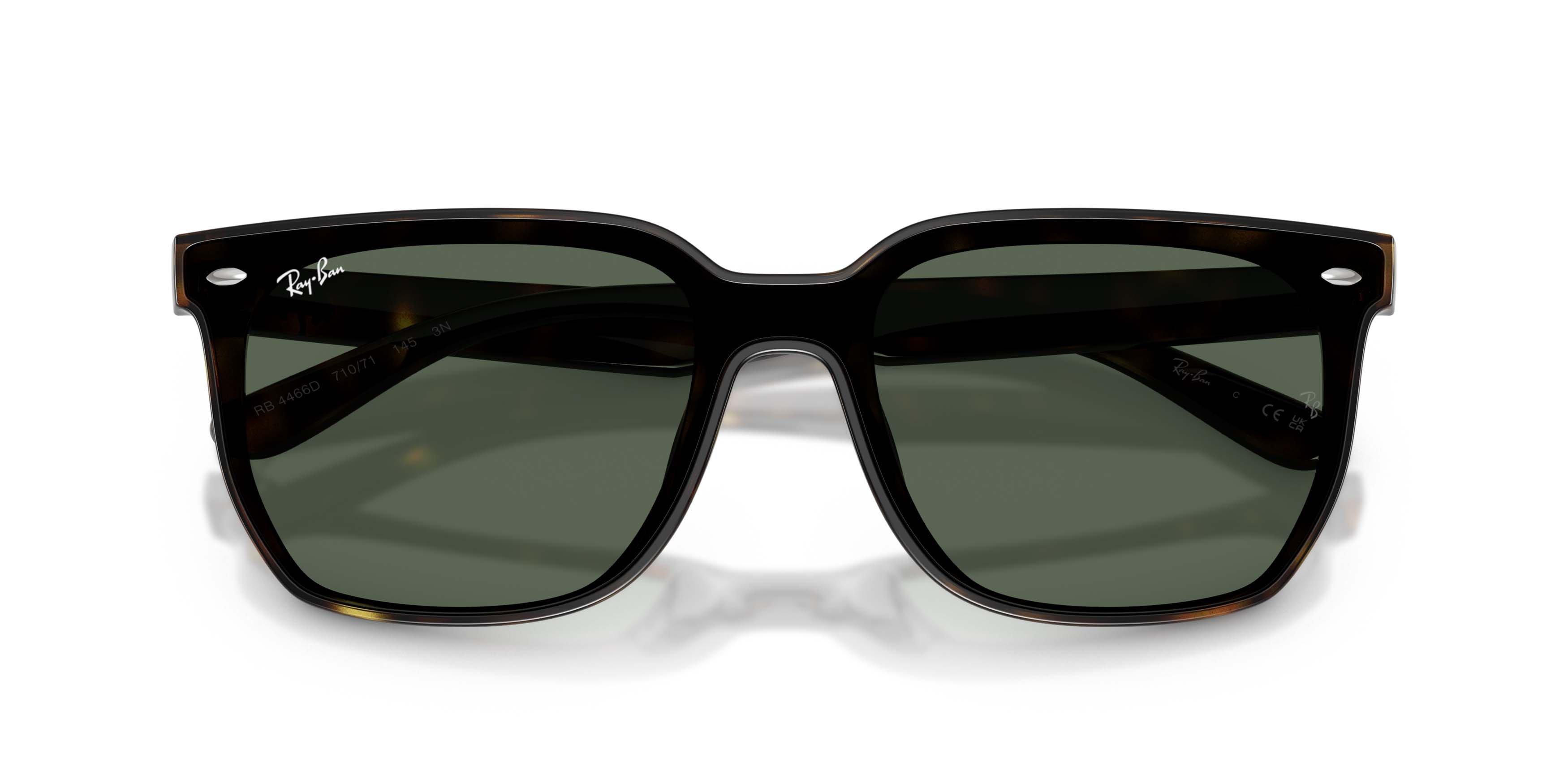 Ray-Ban 0RB4466D Dark Green Sunglasses - Havana - BROWN/GREEN