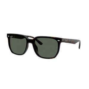 Ray-Ban 0RB4466D Dark Green Sunglasses - Havana - BROWN/GREEN