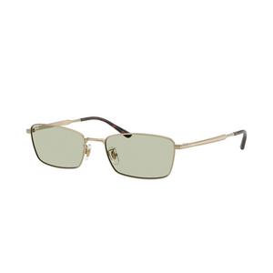 Ray-Ban RB8069D Light Green Sunglasses - Gold - GOLD/GREEN
