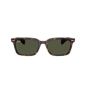 Ray-Ban Brunel Dark Green Sunglasses - Havana - BROWN/GREEN