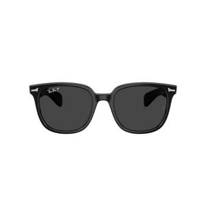 Ray-Ban Brunel II Black Polarized Sunglasses - Black - BLACK