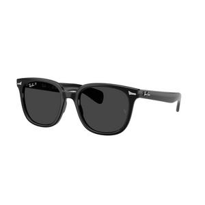 Ray-Ban Brunel II Black Polarized Sunglasses - Black - BLACK