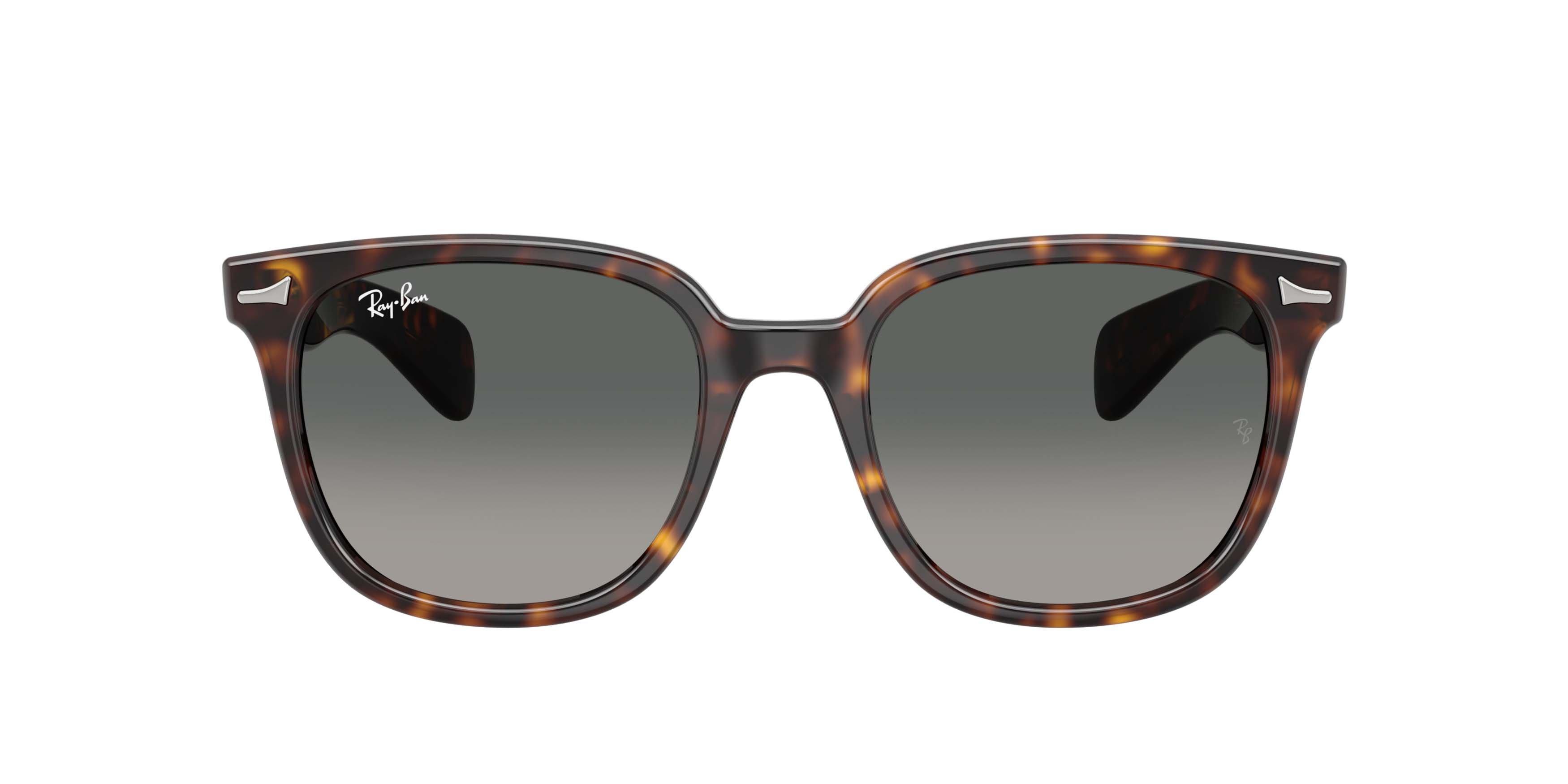 Ray-Ban Brunel II Light Grey Gradient Dark Grey Sunglasses - Havana - BROWN/GREY