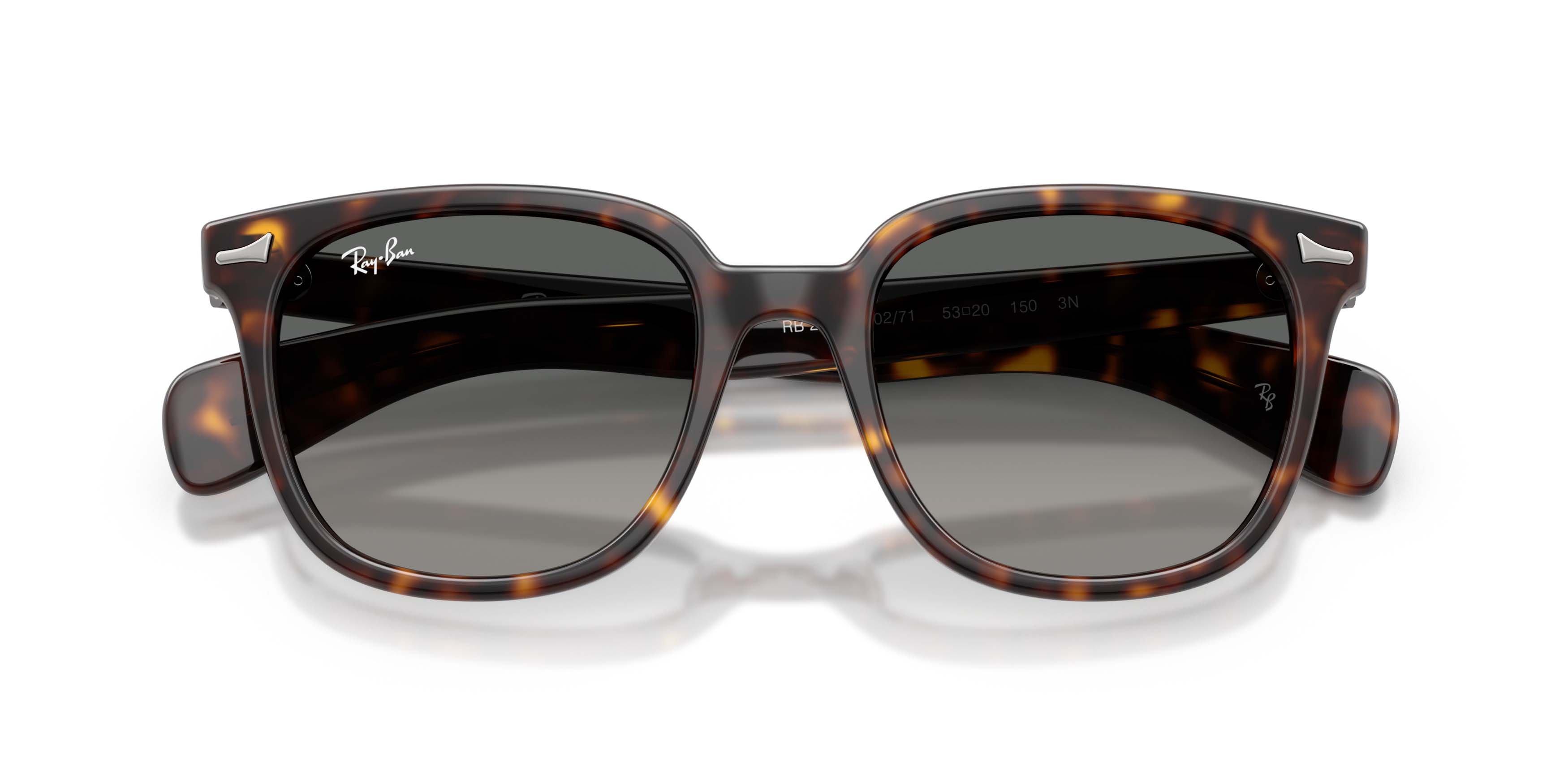 Ray-Ban Brunel II Light Grey Gradient Dark Grey Sunglasses - Havana - BROWN/GREY
