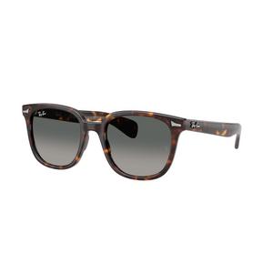 Ray-Ban Brunel II Light Grey Gradient Dark Grey Sunglasses - Havana - BROWN/GREY