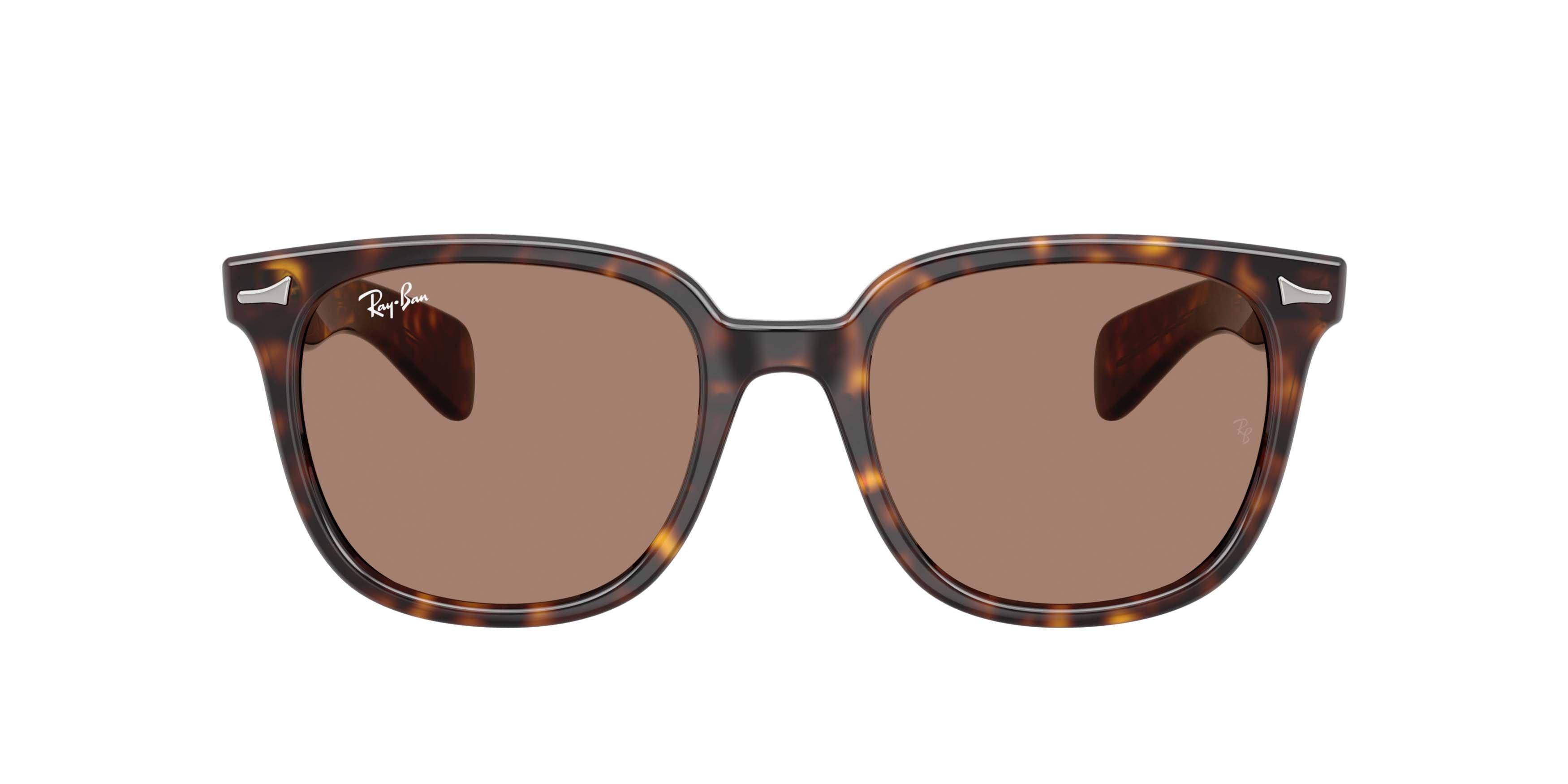 Ray-Ban Brunel II Light Violet Sunglasses - Havana - BROWN/PURPLE