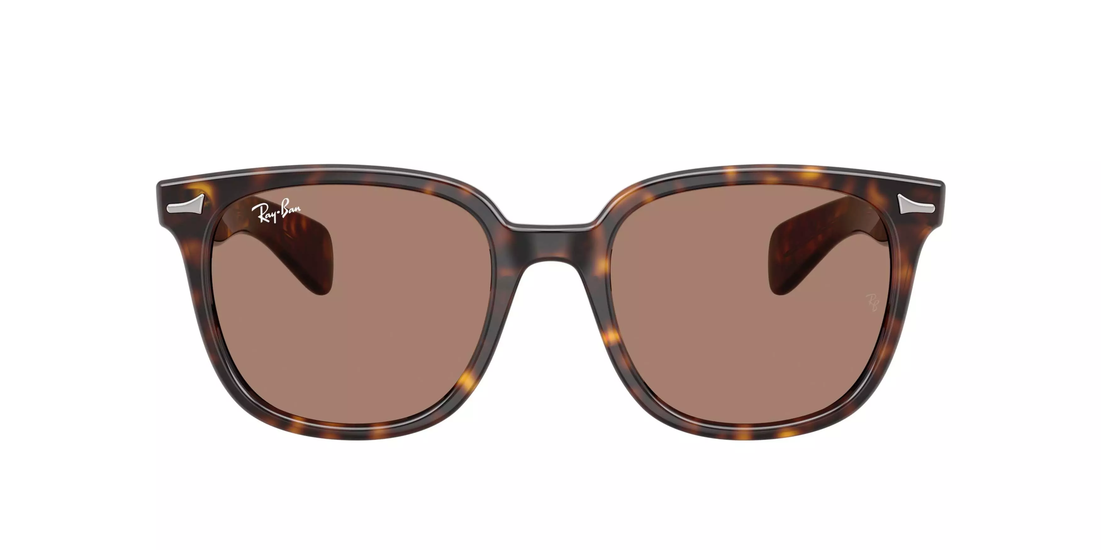 Ray-Ban Brunel II Light Violet Sunglasses - Havana - BROWN/PURPLE