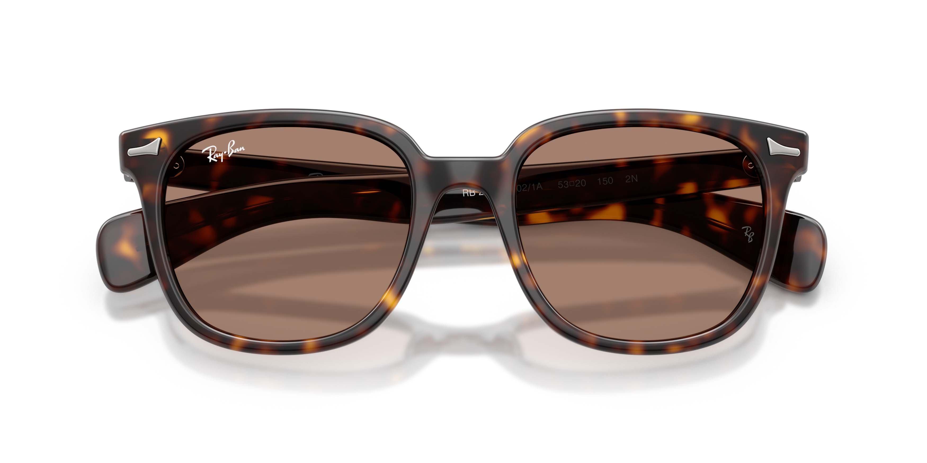 Ray-Ban Brunel II Light Violet Sunglasses - Havana - BROWN/PURPLE
