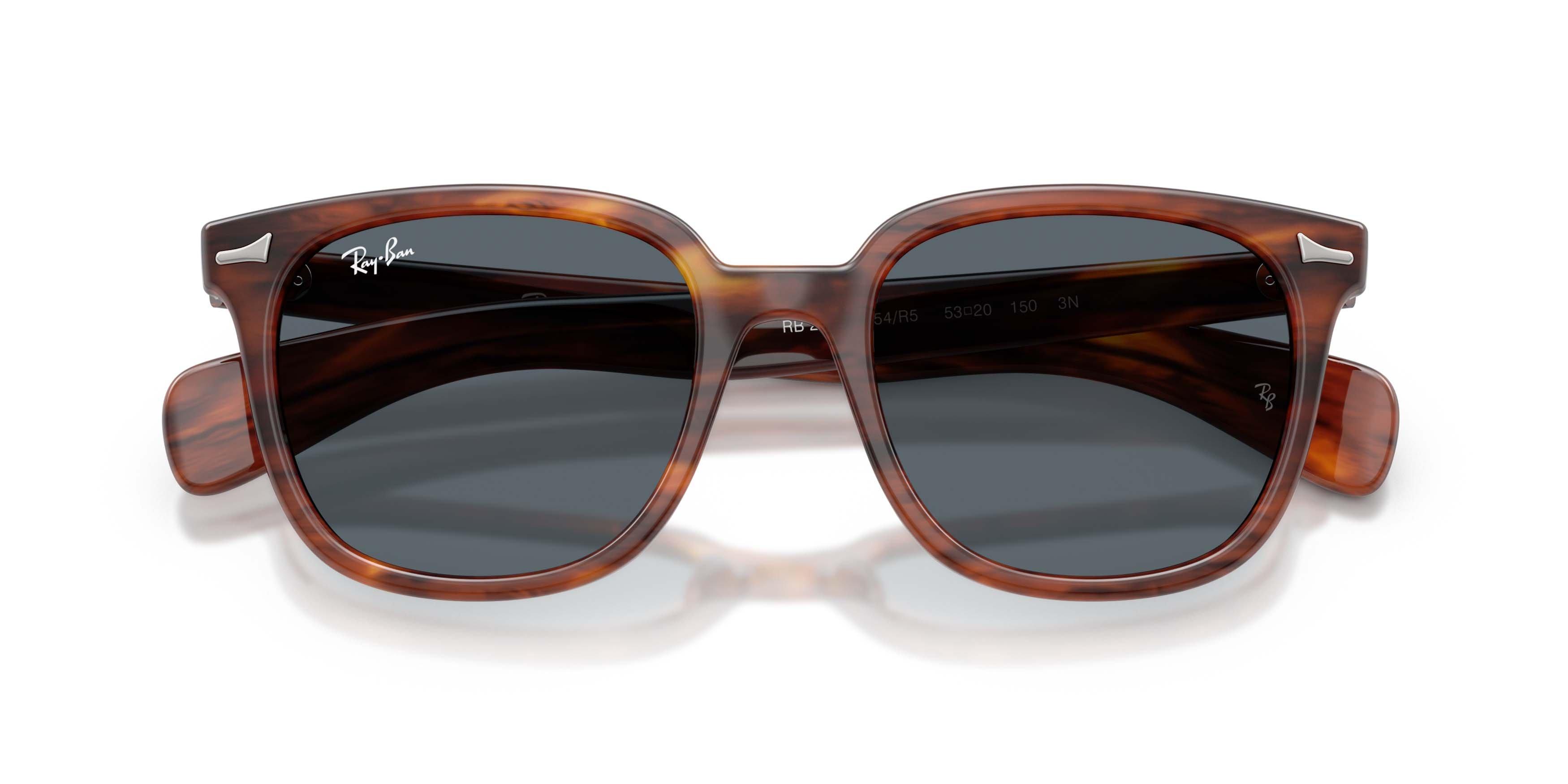 Ray-Ban Brunel II Blue Sunglasses - Striped Havana - BROWN/BLUE