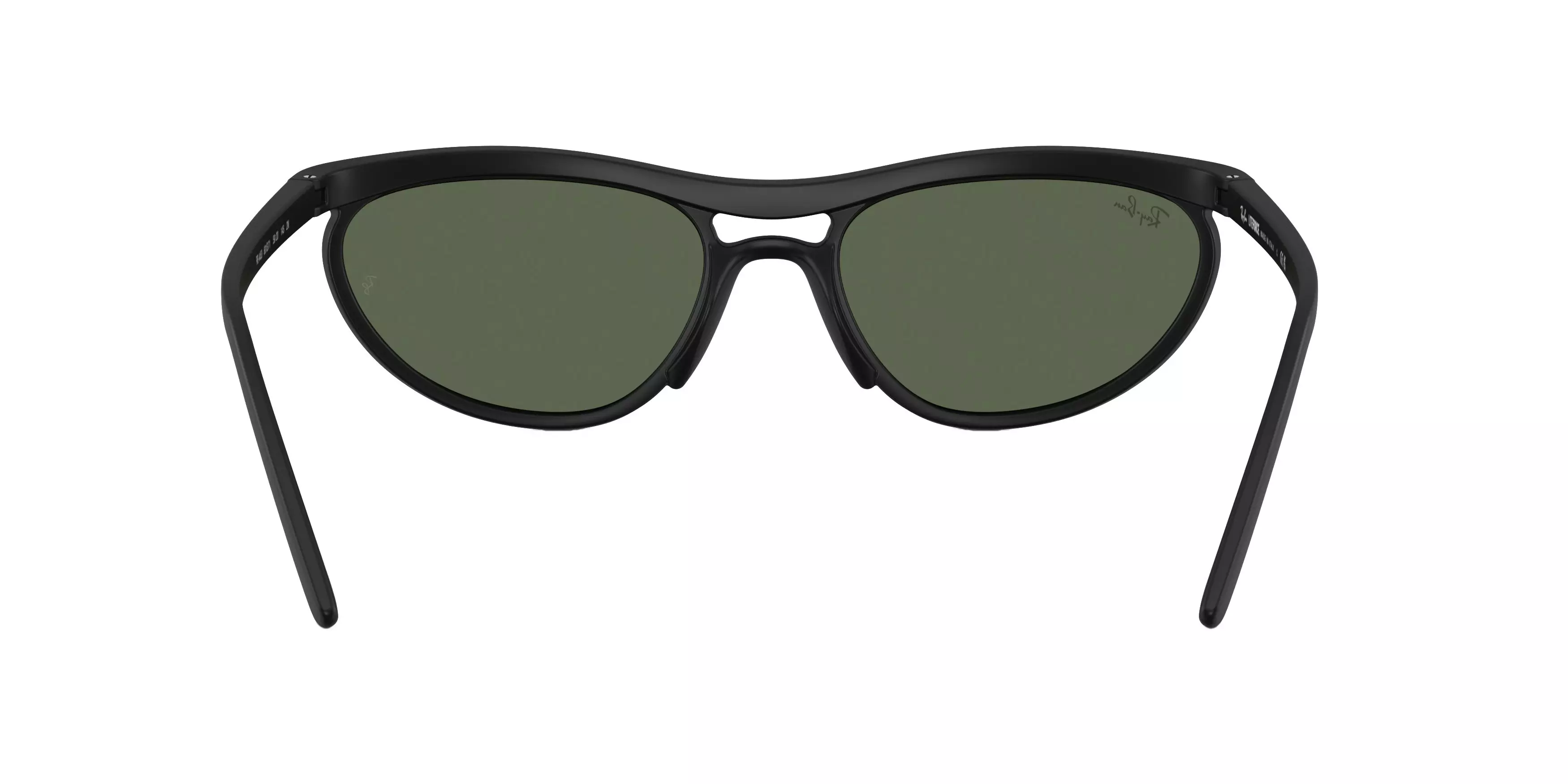 Ray-Ban RB4453 Green Sunglasses - Black - BLACK/GREEN