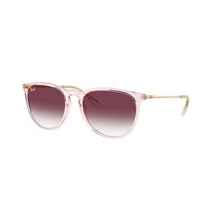 Ray-Ban Erika Classic Transparent Dark Purple Gradient Sunglasses - Transparent Pink - PINK/PURPLE