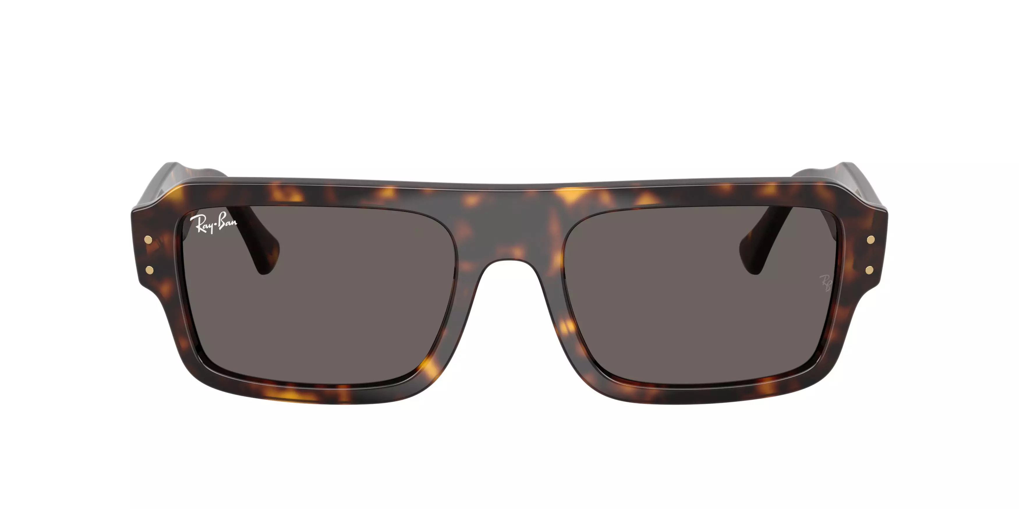 Ray-Ban Lukas Grey Sunglasses - Brown - BROWN/GREY