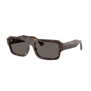 Ray-Ban Lukas Grey Sunglasses - Brown