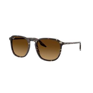 Ray-Ban RB2203 Brown Gradient Sunglasses - Yellow Turtle