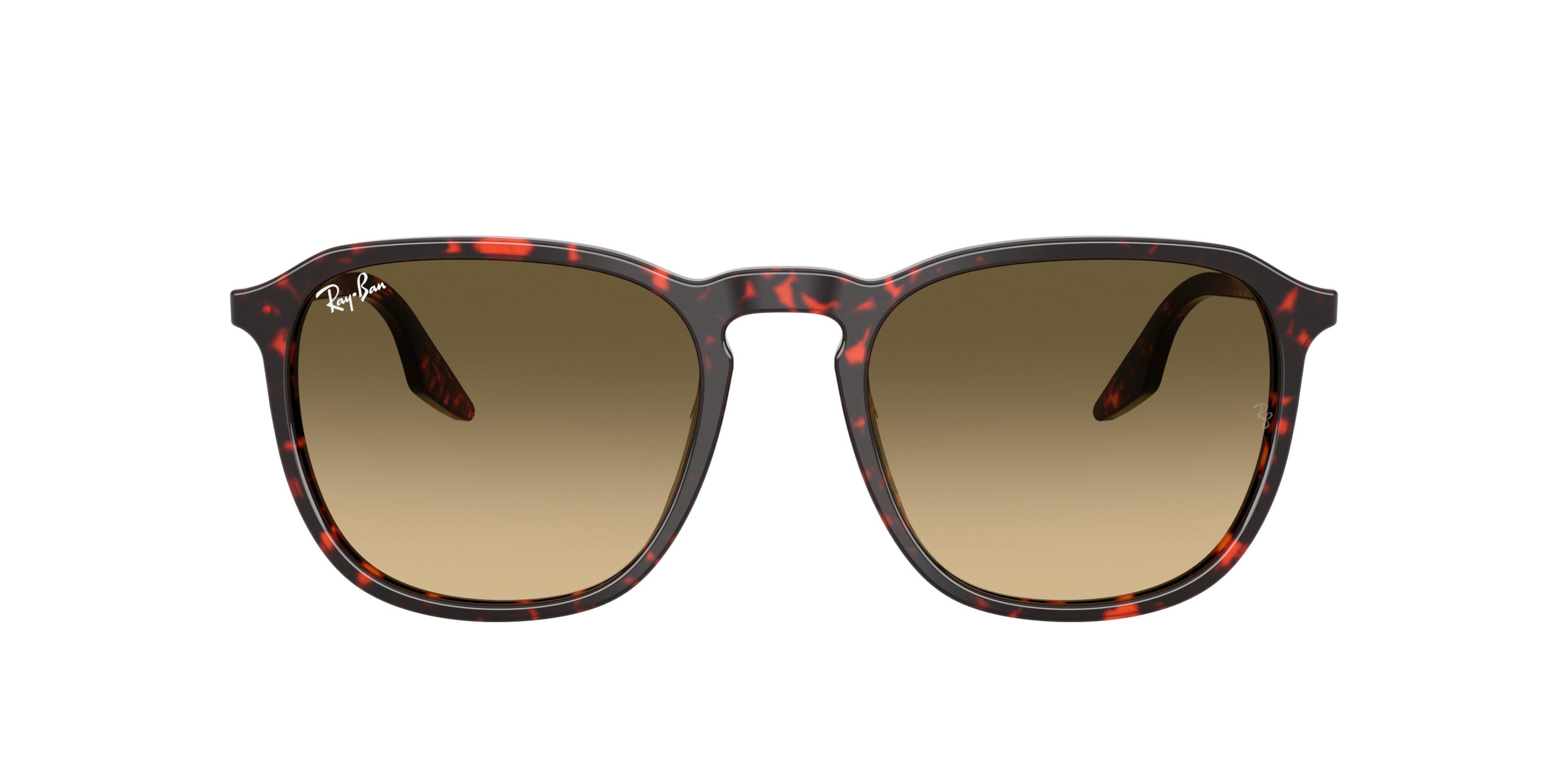 Ray-Ban RB2203 Brown Gradient Sunglasses - Red Turtle - BROWN Thumbnail View 3