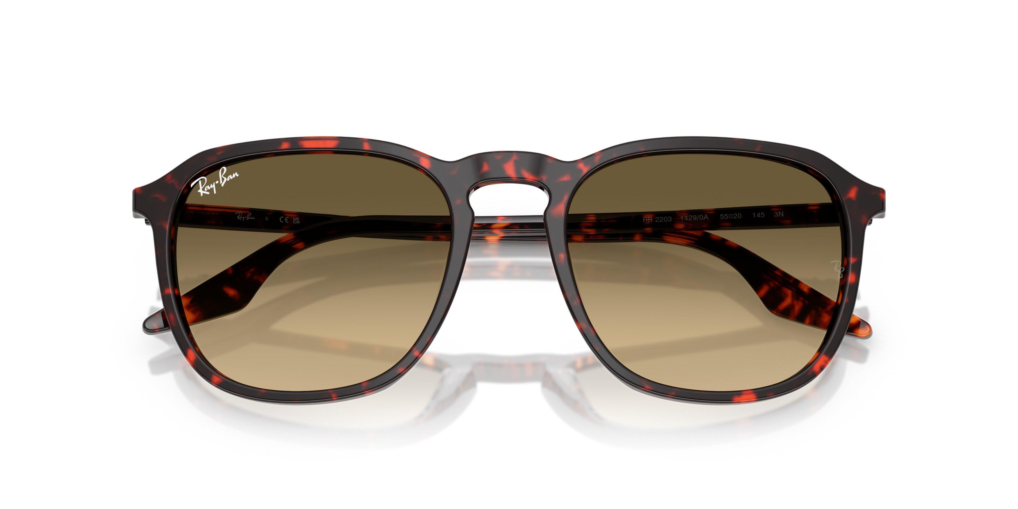 Ray-Ban RB2203 Brown Gradient Sunglasses - Red Turtle - BROWN Thumbnail View 5