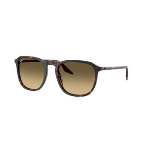 Ray-Ban RB2203 Brown Gradient Sunglasses - Red Turtle