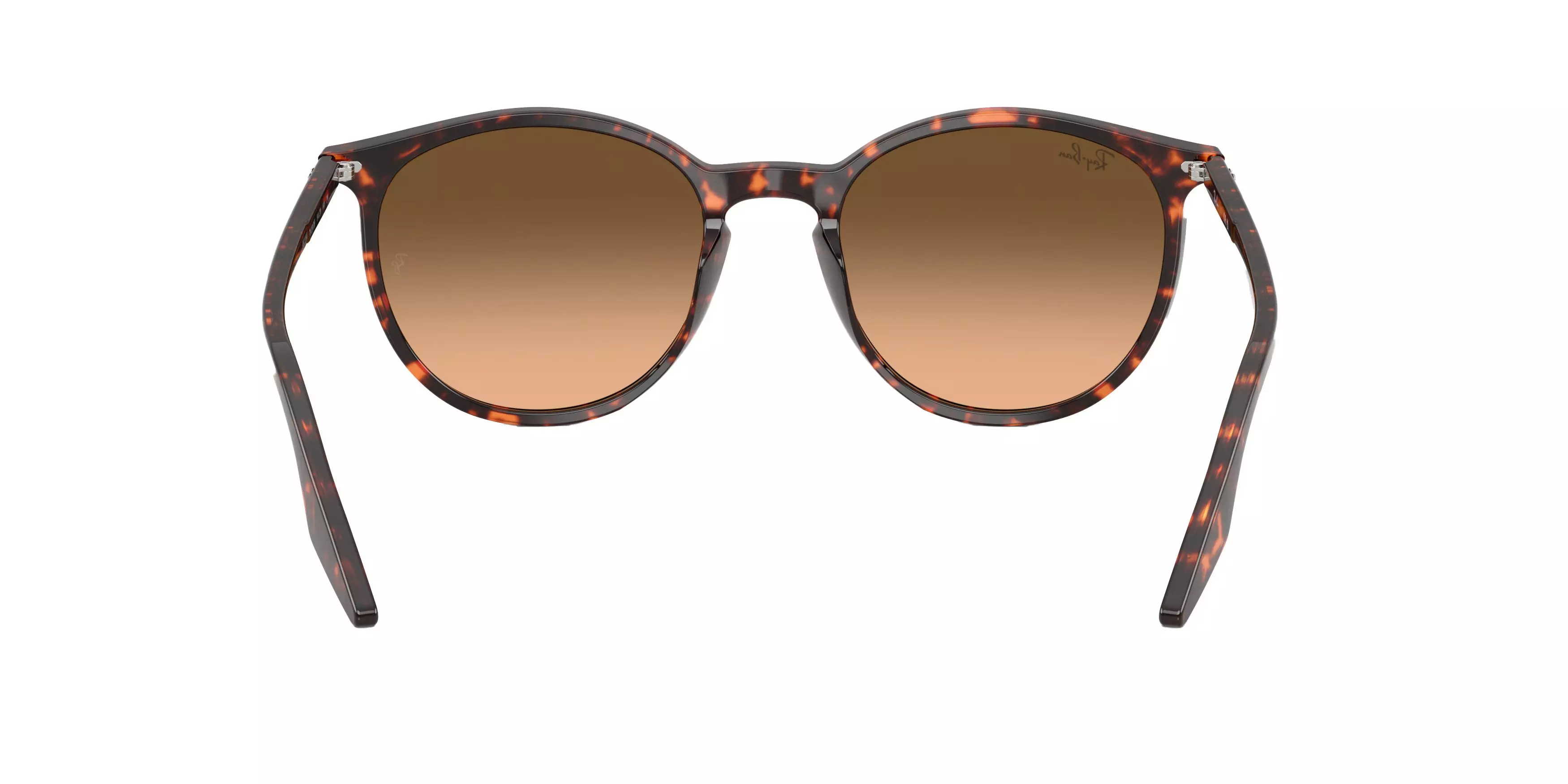 Ray-Ban RB2204 Brown Gradient Sunglasses - Red Turtle - BROWN