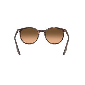 Ray-Ban RB2204 Brown Gradient Sunglasses - Red Turtle