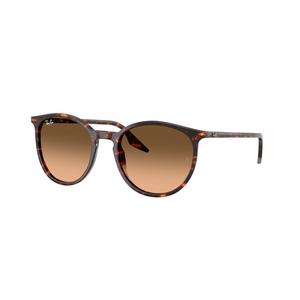 Ray-Ban RB2204 Brown Gradient Sunglasses - Red Turtle