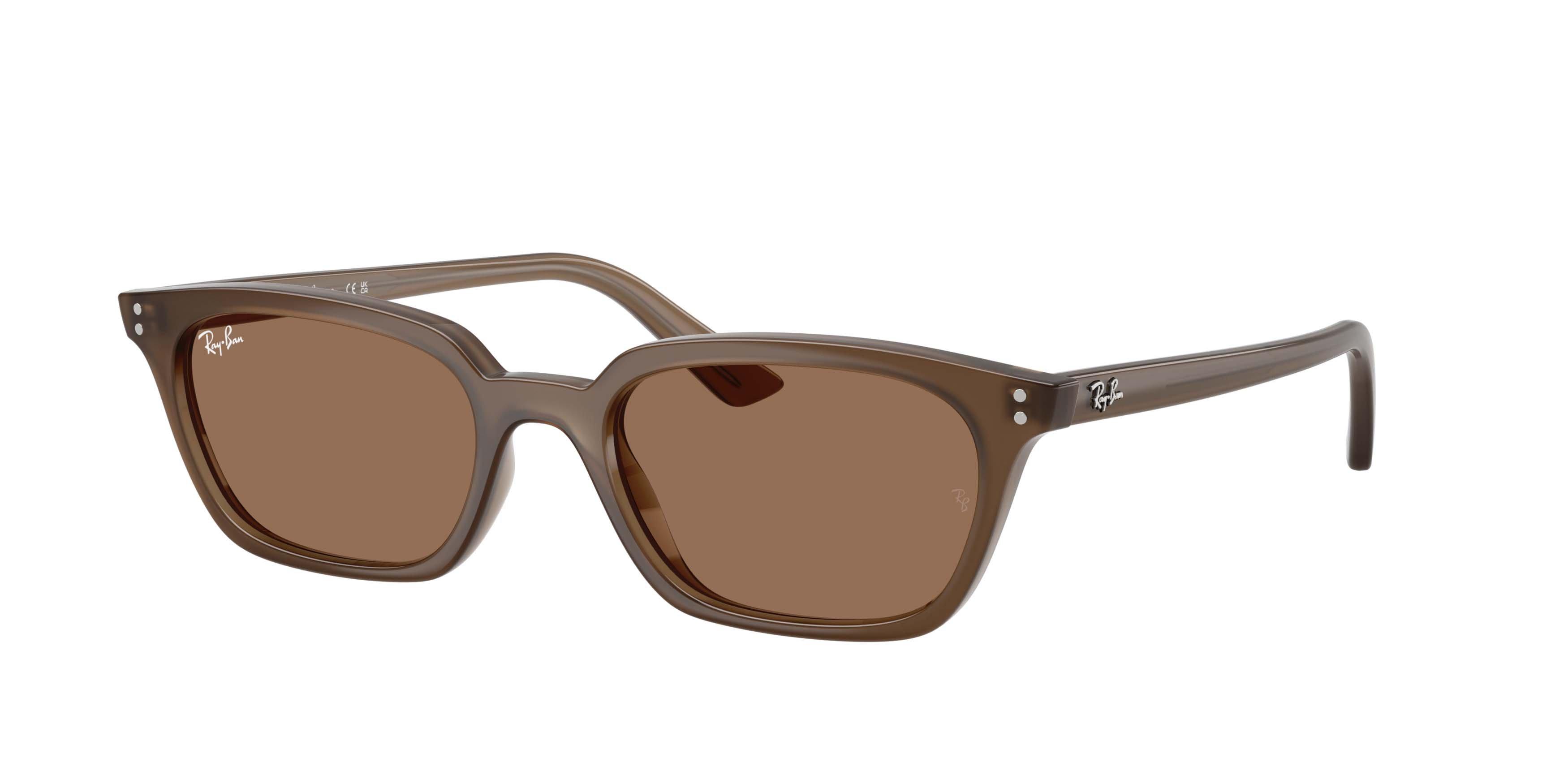 Ray-Ban Zaya Bio-Based Dark Brown Sunglasses - Transparent Brown - BROWN