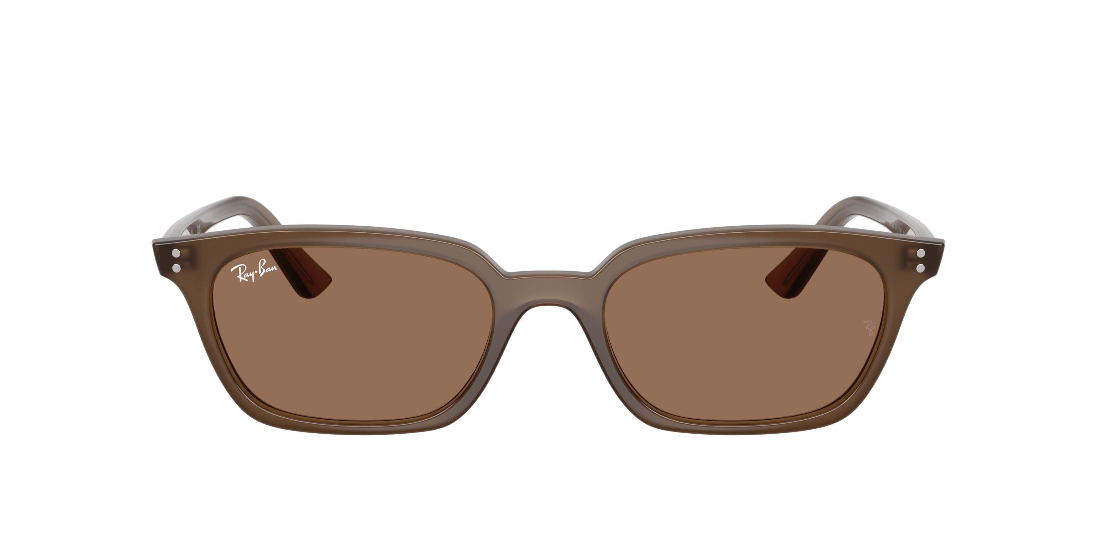 Ray-Ban Zaya Bio-Based Dark Brown Sunglasses - Transparent Brown - BROWN