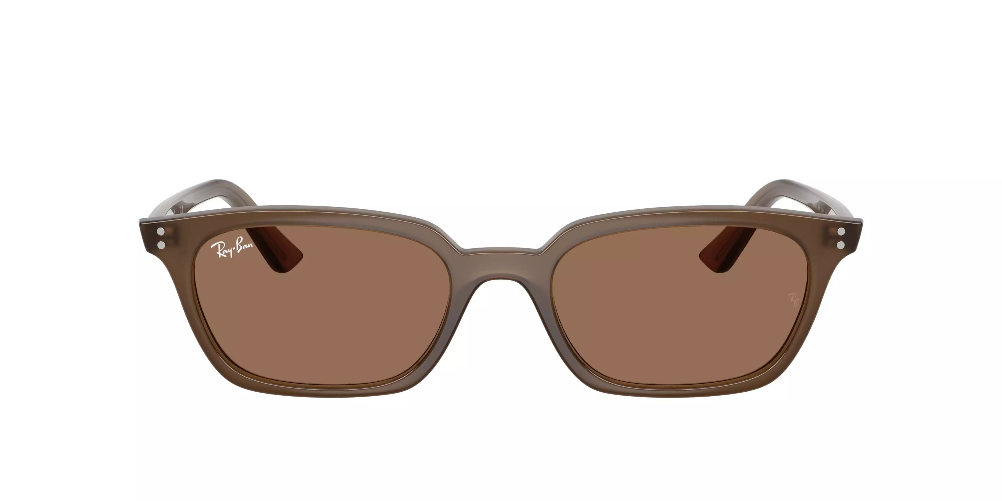 Ray-Ban Zaya Bio-Based Dark Brown Sunglasses - Transparent Brown - BROWN