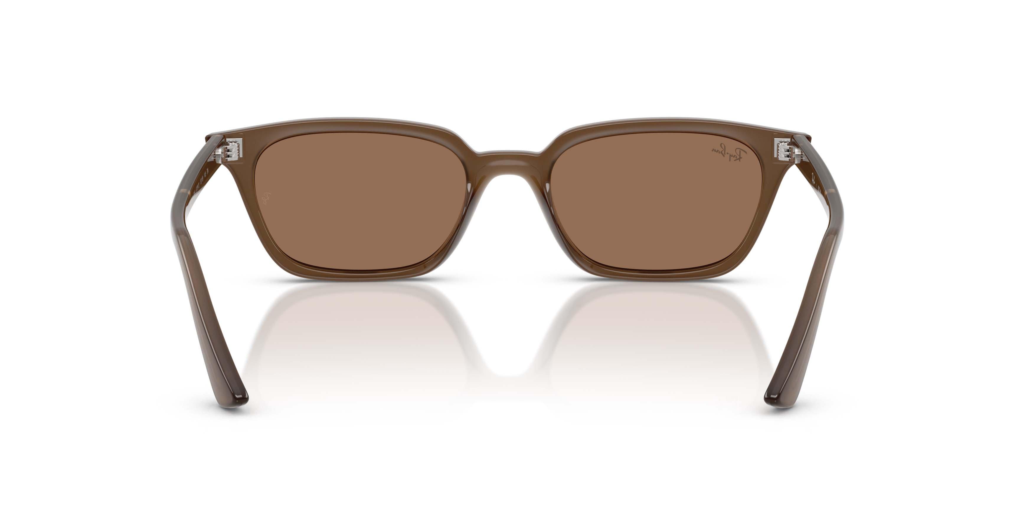 Ray-Ban Zaya Bio-Based Dark Brown Sunglasses - Transparent Brown - BROWN