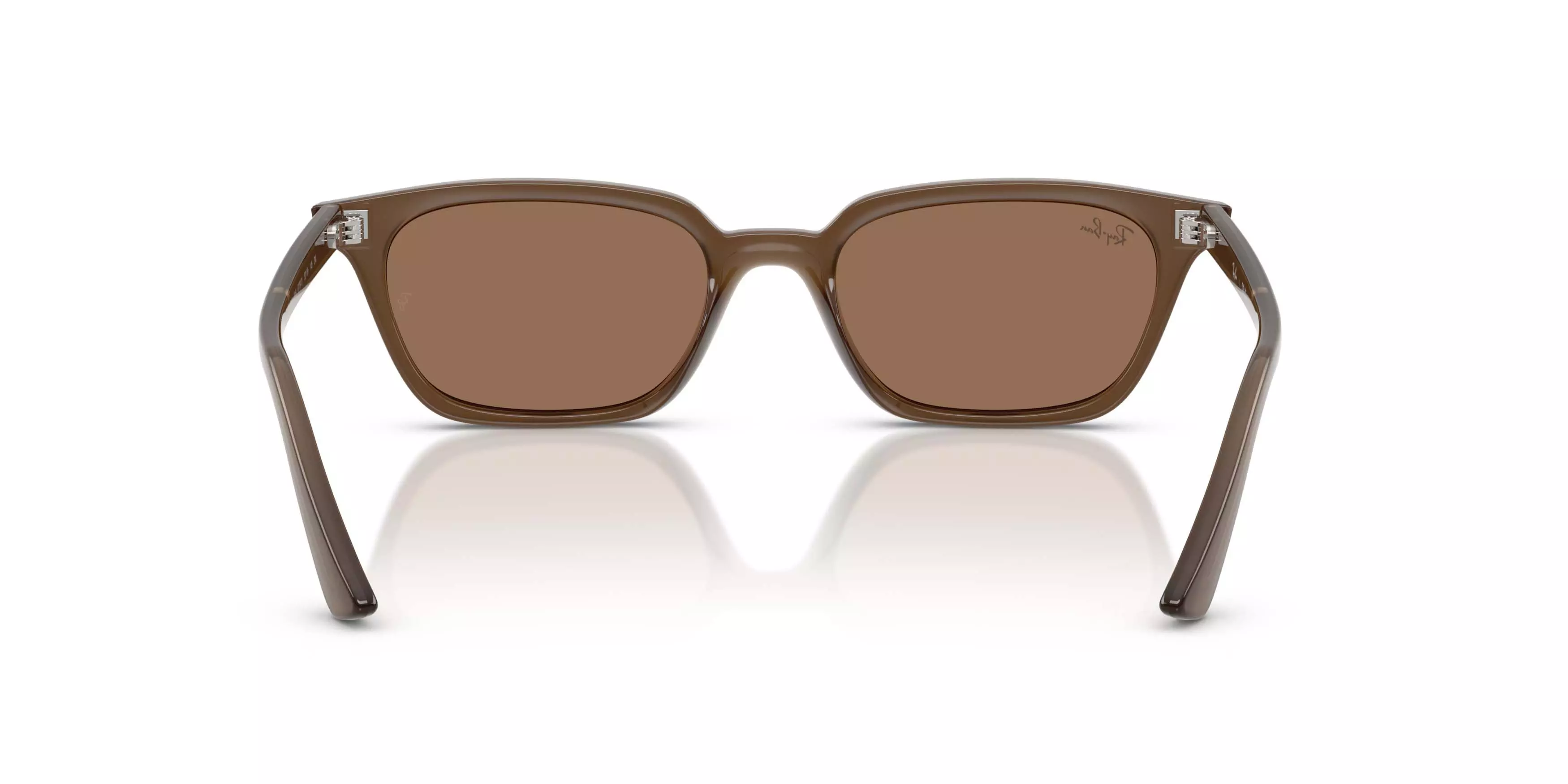 Ray-Ban Zaya Bio-Based Dark Brown Sunglasses - Transparent Brown - BROWN