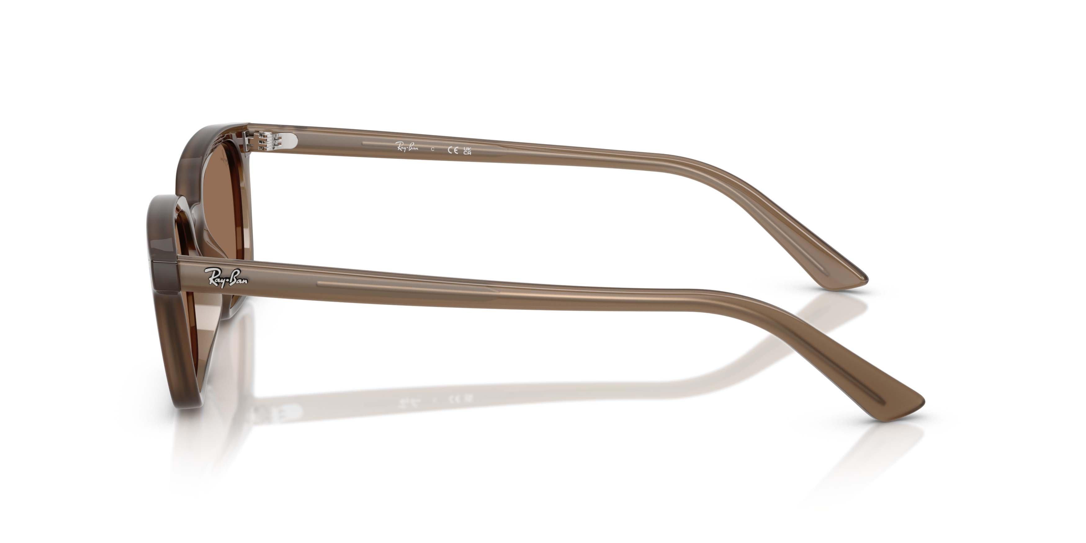Ray-Ban Zaya Bio-Based Dark Brown Sunglasses - Transparent Brown - BROWN
