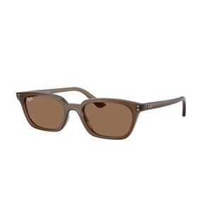 Ray-Ban Zaya Bio-Based Dark Brown Sunglasses - Transparent Brown - BROWN
